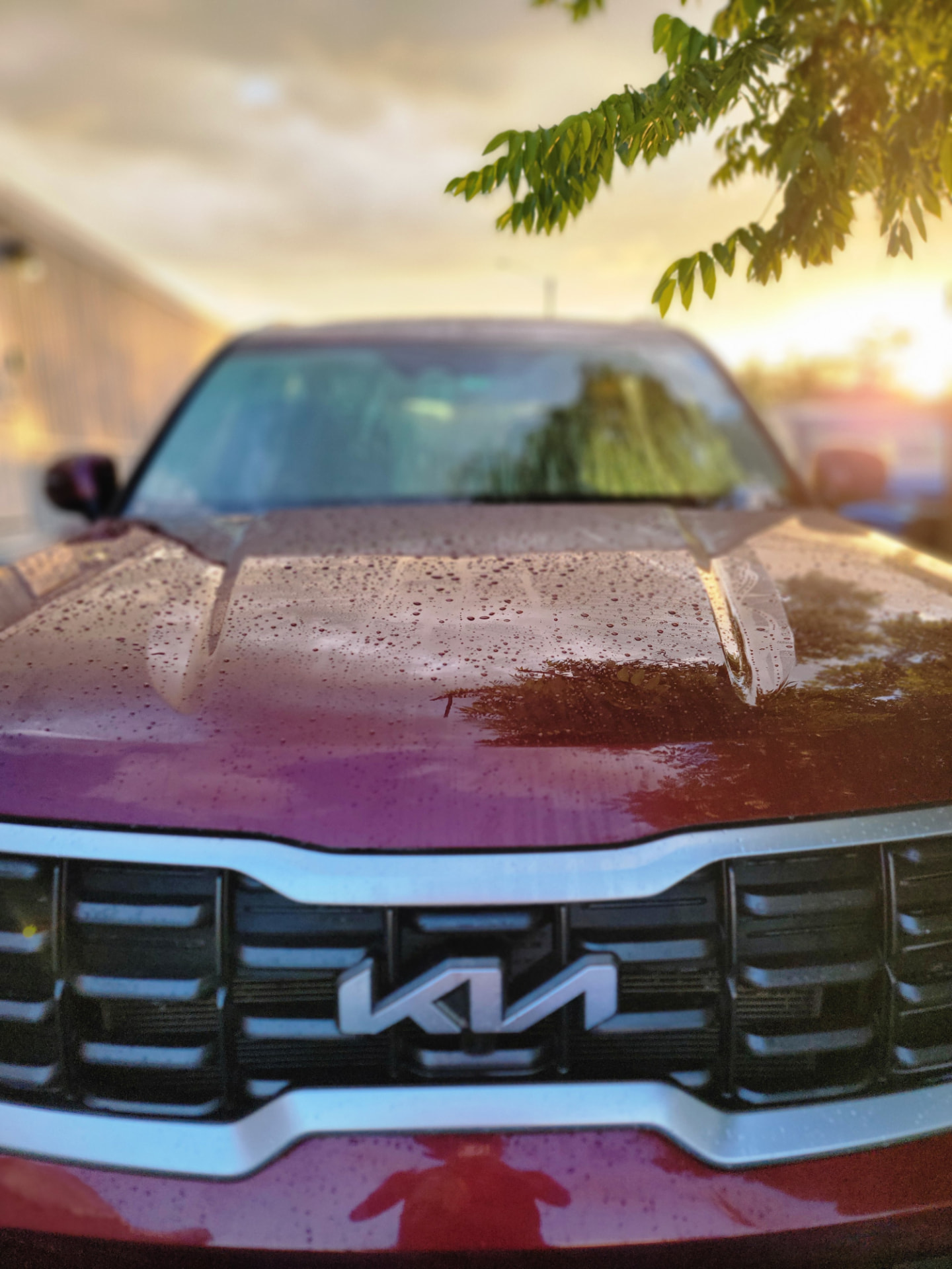 Ceramic Coating